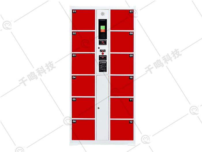電子存包柜,智能儲物柜手機寄存放柜,指紋人臉識別條碼密碼微柜