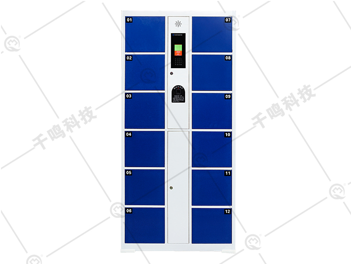 電子存包柜,智能儲物柜手機寄存放柜,指紋人臉識別條碼密碼微柜